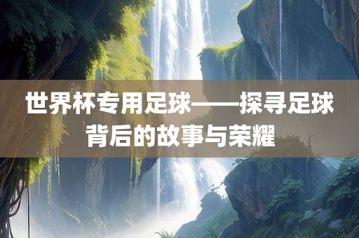 世界杯专用足球——探寻足球背后的故事与荣耀眉山市正发家政服务有限公司