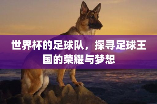 世界杯的足球队，探寻足球王国的荣耀与梦想