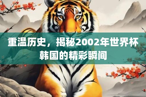 重温历史，揭秘2002年世界杯韩国的精彩瞬间眉山市正发家政服务有限公司