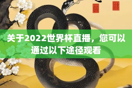 关于2022世界杯直播，您可以通过以下途径观看