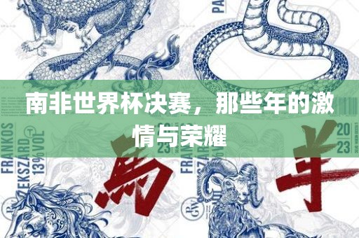 南非世界杯决赛，那些年的激情与荣耀