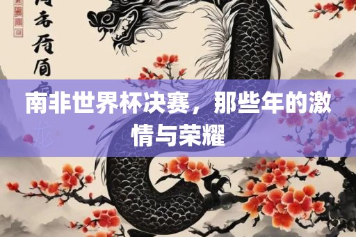 南非世界杯决赛，那些年的激情与荣耀