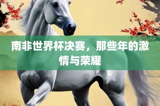 南非世界杯决赛，那些年的激情与荣耀