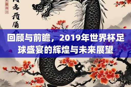 回顾与前瞻，2019年世界杯足球盛宴的辉煌与未来展望