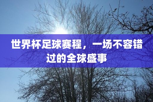 世界杯足球赛程，一场不容错过的全球盛事眉山市正发家政服务有限公司