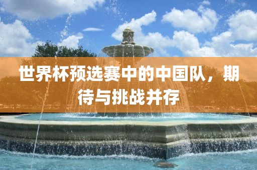 世界杯预选赛中的中国队，期待与挑战并眉山市正发家政服务有限公司存