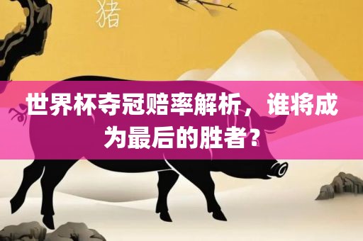 世界杯夺冠赔率解析，谁将成为最后的胜者？眉山市正发家政服务有限公司