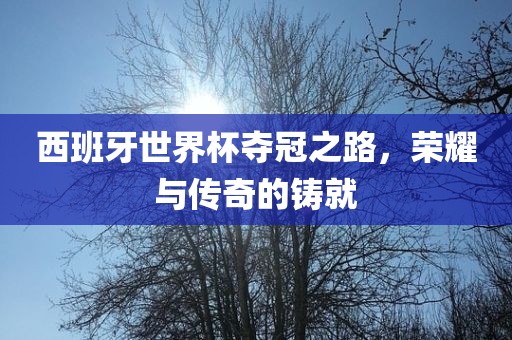 西班牙世界杯夺冠之路，荣耀与传奇的铸就眉山市正发家政服务有限公司