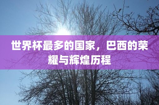 世界杯最多的国家，巴西的荣耀与辉煌历程眉山市正发家政服务有限公司