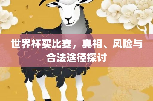 世界杯买比赛，真相、风险与合法途径探眉山市正发家政服务有限公司讨
