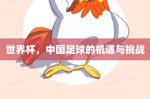 世界杯，中国足球的机遇与挑战眉山市正发家政服务有限公司