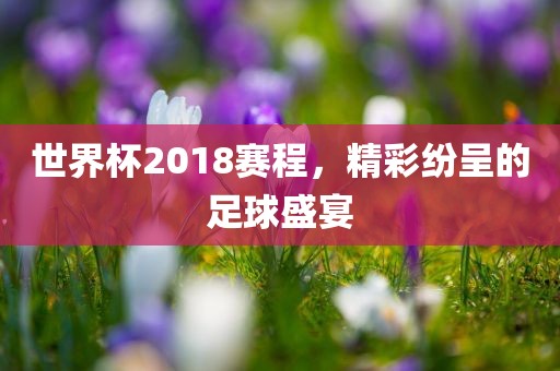 世界杯眉山市正发家政服务有限公司2018赛程，精彩纷呈的足球盛宴