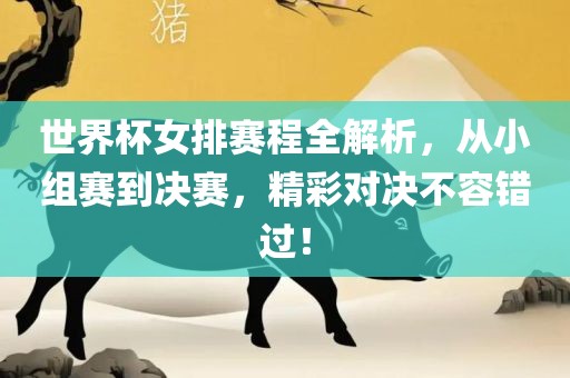 世界杯女排赛程全解析，从小组赛到决赛，精彩对决不容错过！眉山市正发家政服务有限公司