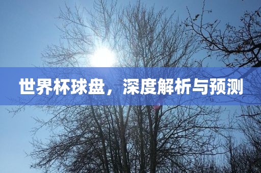 世界杯球盘，深度解析与预测