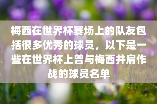 梅西在世界杯赛场上的队友包括很多优秀的球员，以下是一些在世界杯上曾与梅西并肩作战的球员名单