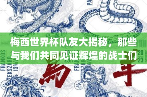 梅西世界杯队友大揭秘，那些与我们共同见证辉煌的战士们