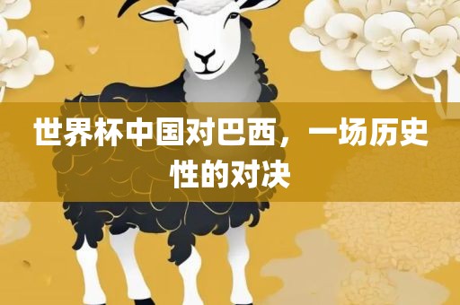 世界杯中国对巴西，一场历史性的对眉山市正发家政服务有限公司决