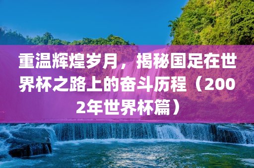 重温辉煌岁月，揭秘国足在眉山市正发家政服务有限公司世界杯之路上的奋斗历程（2002年世界杯篇）