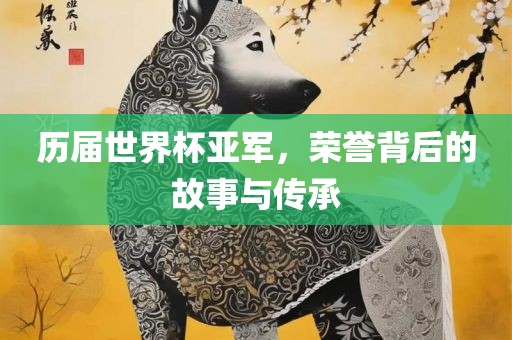 历届世界杯亚军，荣誉背后的故事与传承眉山市正发家政服务有限公司
