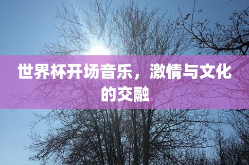 世界杯开场音乐，激情与文化的交融眉山市正发家政服务有限公司