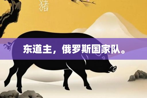 东道主，俄罗斯国家队。眉山市正发家政服务有限公司