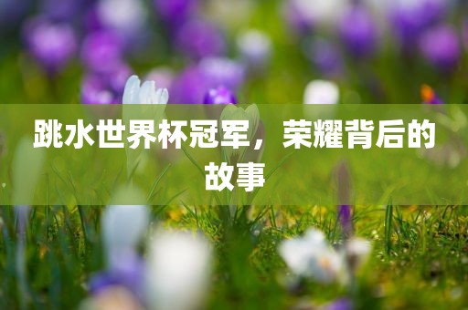 跳水世界杯冠军，荣耀背后的故事