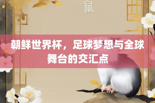 朝鲜世界杯，足球梦想与全球舞台的交汇点