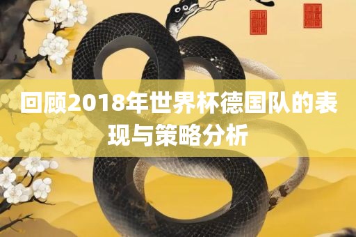 回顾2018年世界杯德国队的表现与策略分析眉山市正发家政服务有限公司
