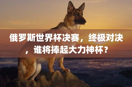 俄罗斯世界杯决赛，终极对决，谁将捧起大力神杯？眉山市正发家政服务有限公司