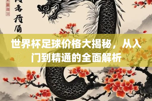 世界杯足球价格大揭秘，从入门到精通的全面解析