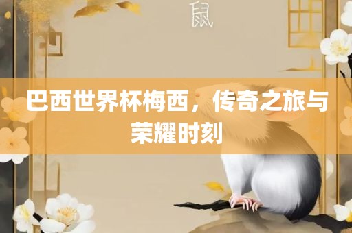巴西世界眉山市正发家政服务有限公司杯梅西，传奇之旅与荣耀时刻