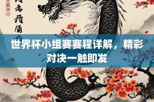 世界杯眉山市正发家政服务有限公司小组赛赛程详解，精彩对决一触即发
