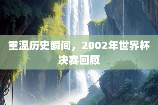 重温历史瞬间，2002年世界杯决赛回顾眉山市正发家政服务有限公司