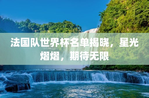 法国队世界杯名单揭晓，星光熠熠，期待无限眉山市正发家政服务有限公司