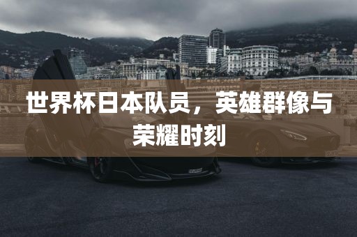 世界杯日本队员，英雄群像与荣耀时刻眉山市正发家政服务有限公司