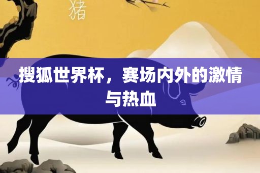 搜狐世界杯，赛场内外的激情与热血眉山市正发家政服务有限公司