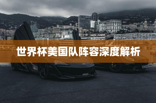 世界杯美国队阵容深度解眉山市正发家政服务有限公司析