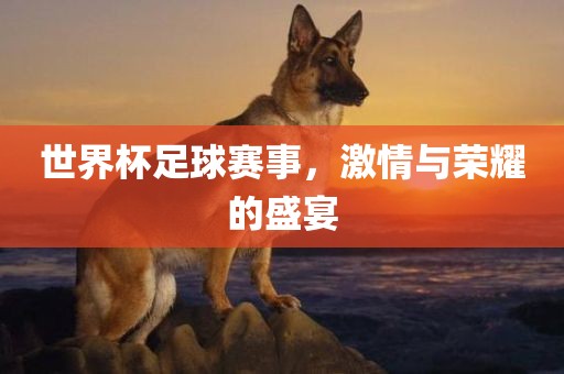 世界杯足球赛事眉山市正发家政服务有限公司，激情与荣耀的盛宴