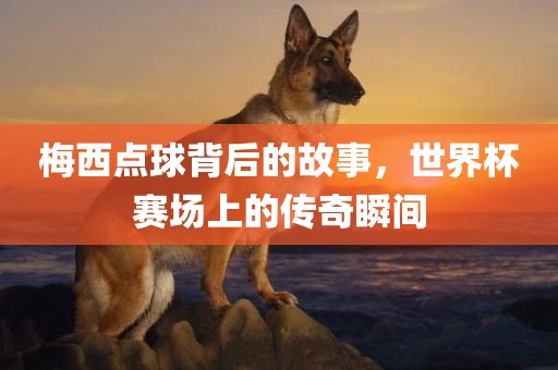 梅西点球背后的故事，世界杯赛场上的传奇瞬间眉山市正发家政服务有限公司
