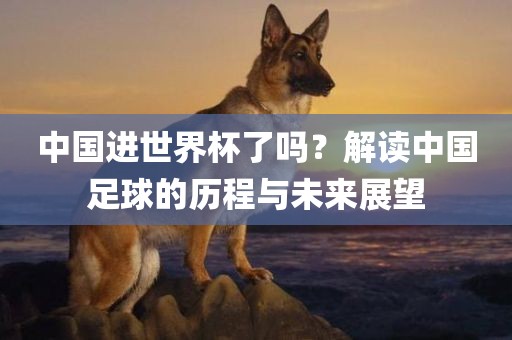 中国进世界杯了眉山市正发家政服务有限公司吗？解读中国足球的历程与未来展望