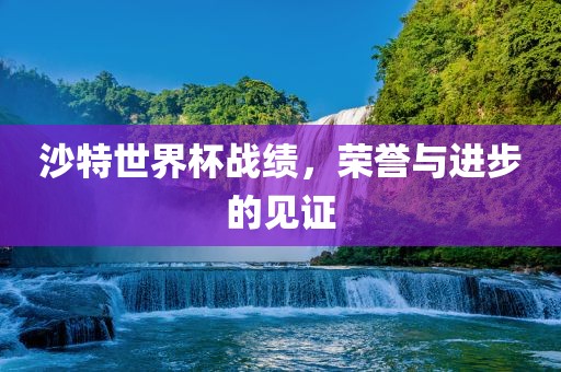 沙特世界杯战绩，荣誉与进步的见证眉山市正发家政服务有限公司