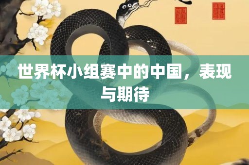 世界杯小组赛中的中国，表现与期待眉山市正发家政服务有限公司