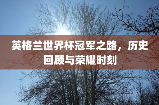 英格兰世界杯冠军之路，历史回顾与荣耀时刻眉山市正发家政服务有限公司