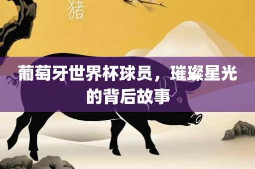 葡萄牙世界杯球员，璀璨星光的背后故事