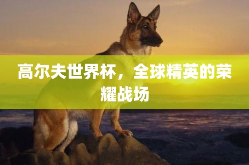 高尔夫世界杯，全球精英的荣耀战场