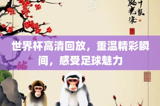 世界杯高清回放，重温精彩瞬间，感受足球魅力眉山市正发家政服务有限公司