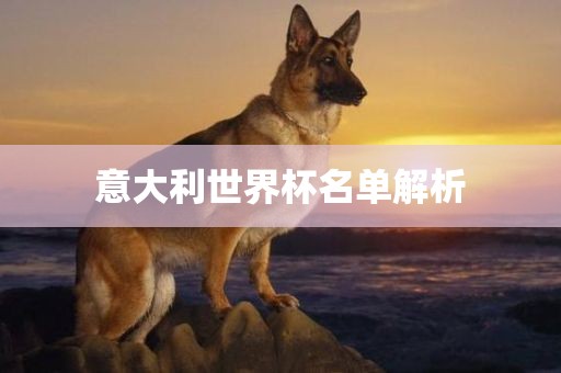 意大利世界杯名单解析眉山市正发家政服务有限公司