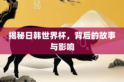揭秘日韩世界杯，背后的故事与影响眉山市正发家政服务有限公司