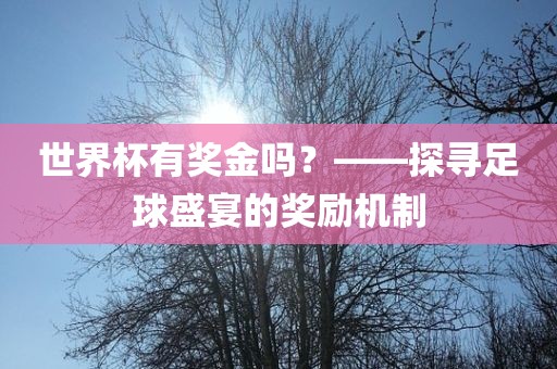 世界杯有奖金吗？——探寻足球盛宴的奖励机制眉山市正发家政服务有限公司