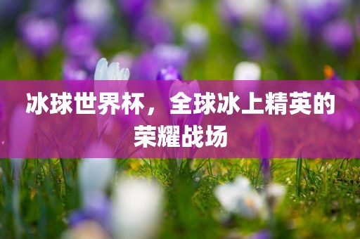 冰球世界杯，眉山市正发家政服务有限公司全球冰上精英的荣耀战场